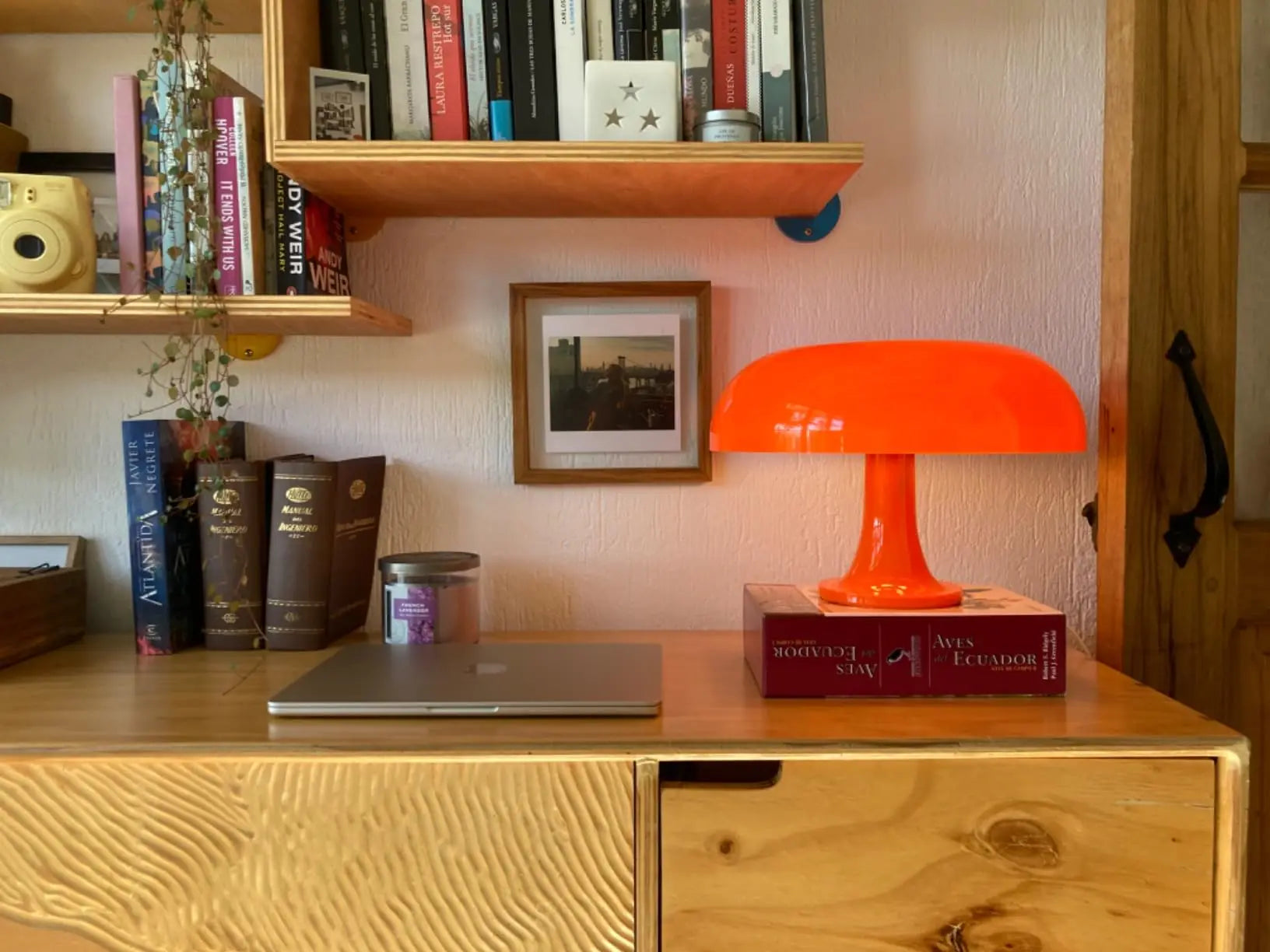 Italy Designer LED Mushroom Table Lamp – Light Up Your Space with Style!